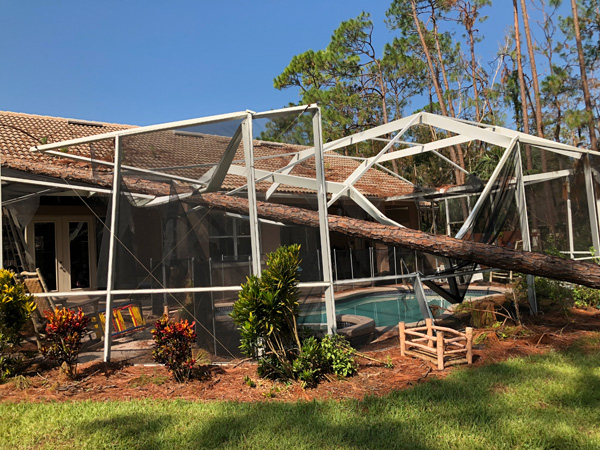 Claims Elements Consultants Public Adjusters Serving Florida